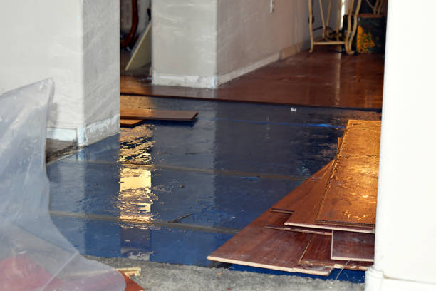Professional Water Damage Restoration technician working in West Elizabeth, PA